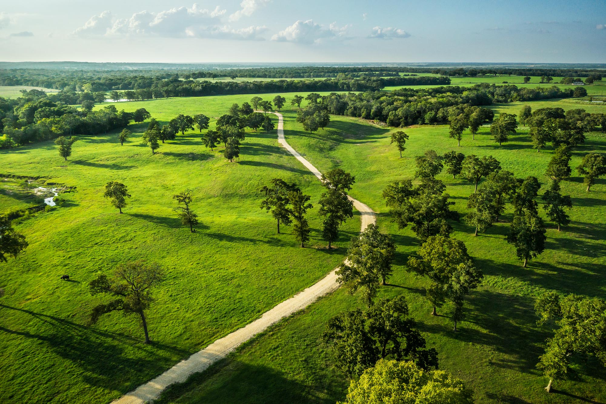 Drone Aerial photograph of trees and landscape on a texas ranch at sunset sunrise texas ranch