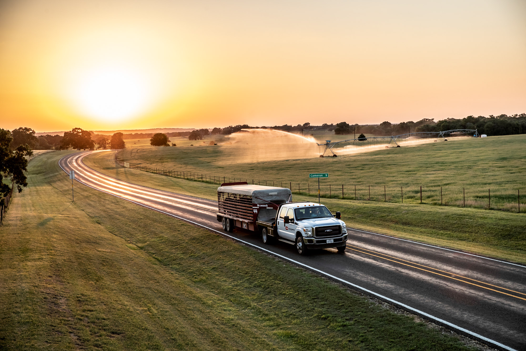 truck and horse trailer driving down road highway at sunset sunrise in texas 44 farms green pasture field