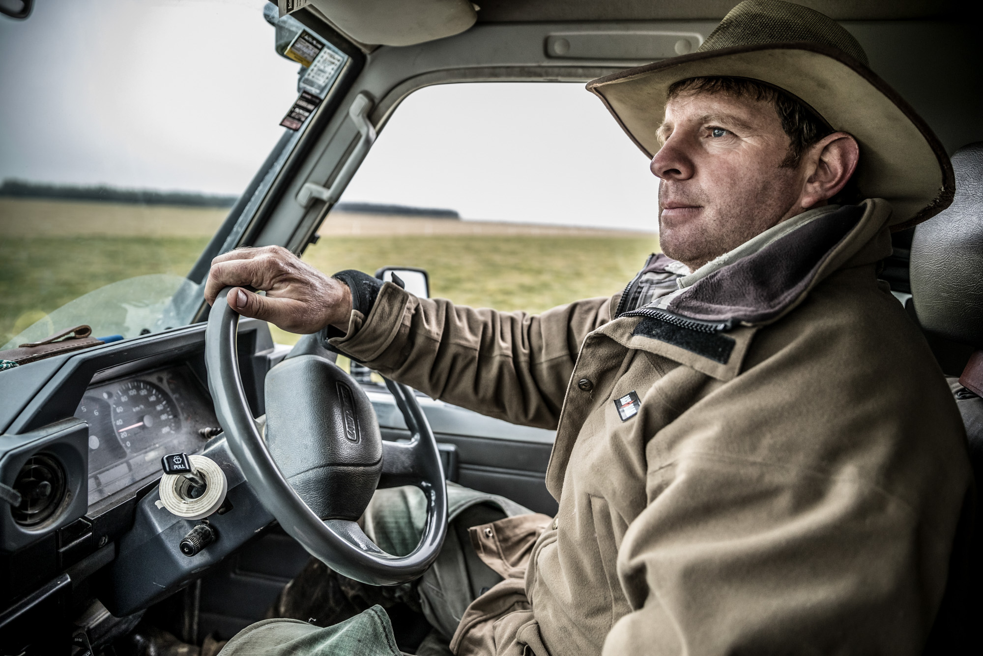 sheep farm rancher in truck in new zealand with hat driving on farm in pasture looking for sheep merino sheep