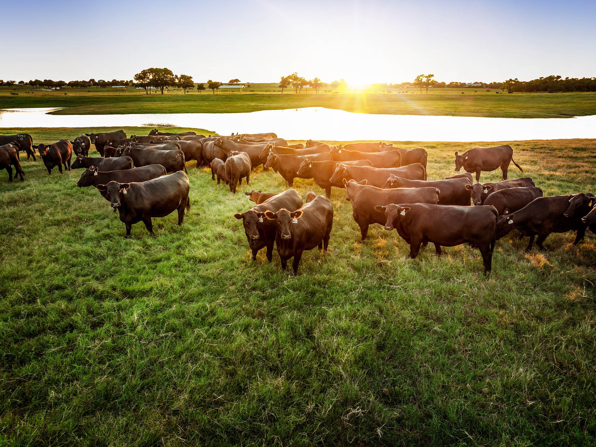 2023_44Farms-4