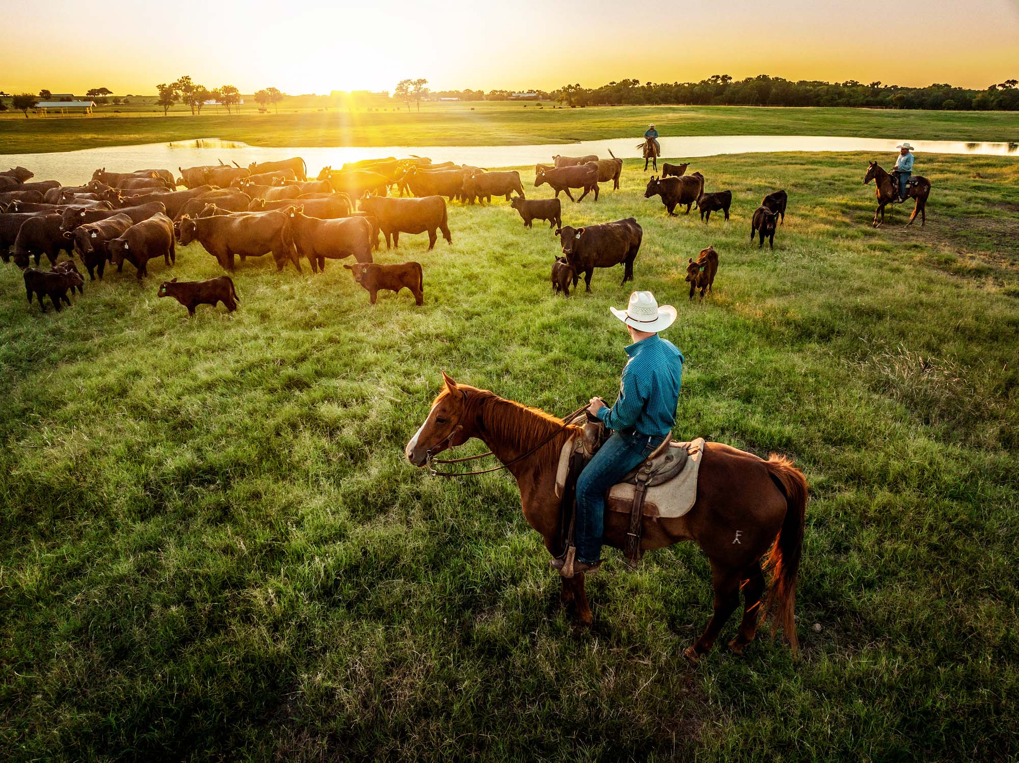 2023_44Farms-5